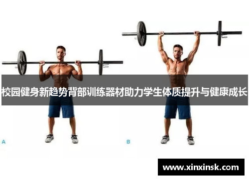 校园健身新趋势背部训练器材助力学生体质提升与健康成长