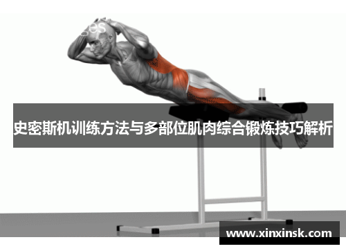 史密斯机训练方法与多部位肌肉综合锻炼技巧解析