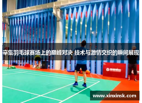 辛集羽毛球赛场上的巅峰对决 技术与激情交织的瞬间展现