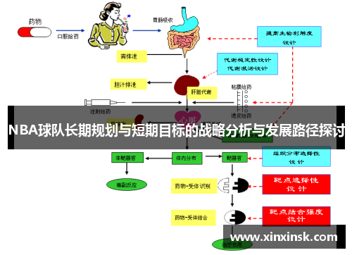 NBA球队长期规划与短期目标的战略分析与发展路径探讨