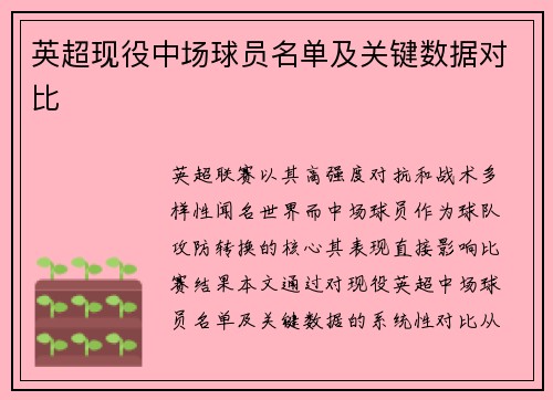 英超现役中场球员名单及关键数据对比